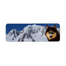 Search for siberian husky dog return address labels Canine