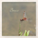 Search for resting barware Nature