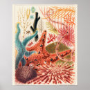 Search for great barrier posters Colourful