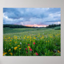 Search for meadow posters Nature