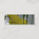 Search for 8 business cards Photography