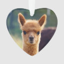 Search for alpaca christmas decor Llama