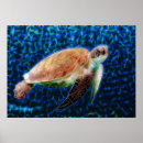 Search for sea turtle art Ocean life