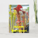 Search for carnivore cards Carnivorous