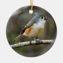Search for tufts christmas tree decorations Birding