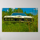 Search for 1968 posters Muscle