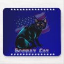 Search for black kitty electronics Felines