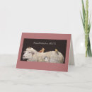 Search for group birthday cards All