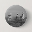 Search for black white horse badges Horses