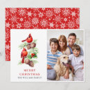 Search for red cardinal christmas cards Country