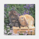Search for this image magnets Outdoors