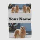 Search for golden retriever golf equipment Cute