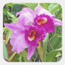 Search for purple orchid stickers Botanical