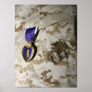 Search for emblems photography Insignia