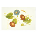 Search for victorian flowers posters Botanical