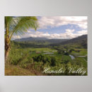Search for kauai posters North