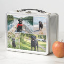 Search for photo lunch boxes Create your own