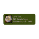 Search for desert flowers return address labels Floral