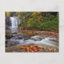 Search for chuck postcards Forest