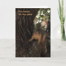 Search for funny squirrel pictures cards Humour