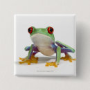 Search for blooded badges Reptiles