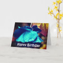 Search for blue rose birthday cards Floral