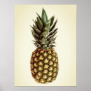 Search for tropical fruit art Fruity