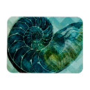 Search for spiral magnets Shell