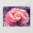 Search for trend postcards Rose