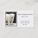 Search for bear business cards Cub