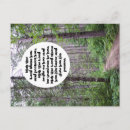 Search for woods postcards Pine trees