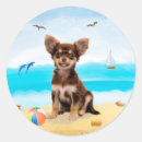 Search for chihuahua mom stickers Animal