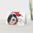 Search for studio shot cards Close up