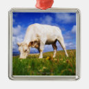 Search for agriculture christmas tree decorations Horizontal