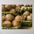 Search for coconut posters Tropical