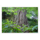 Search for wald Romantisch