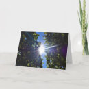 Search for sunlight cards Photography