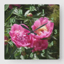 Search for herb clocks Botany