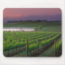 Search for vineyard electronics Nature