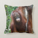 Search for orangutan cushions Wildlife