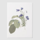 Search for bluebell flowers invitations Floral