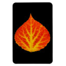 Search for fall trees magnets Red