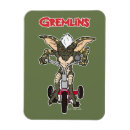 Search for gremlins magnets Stripe