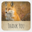 Search for red fox stickers Autumn