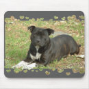 Search for bull dog mousepads Dogs