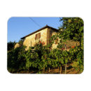 Search for italy magnets Green