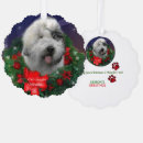 Search for old english sheepdog christmas cards Sheepie