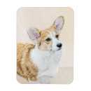 Search for welsh magnets Pembroke welsh corgi