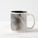 Search for ragdoll cats mugs Nature