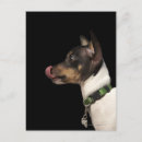 Search for tongue postcards Animal